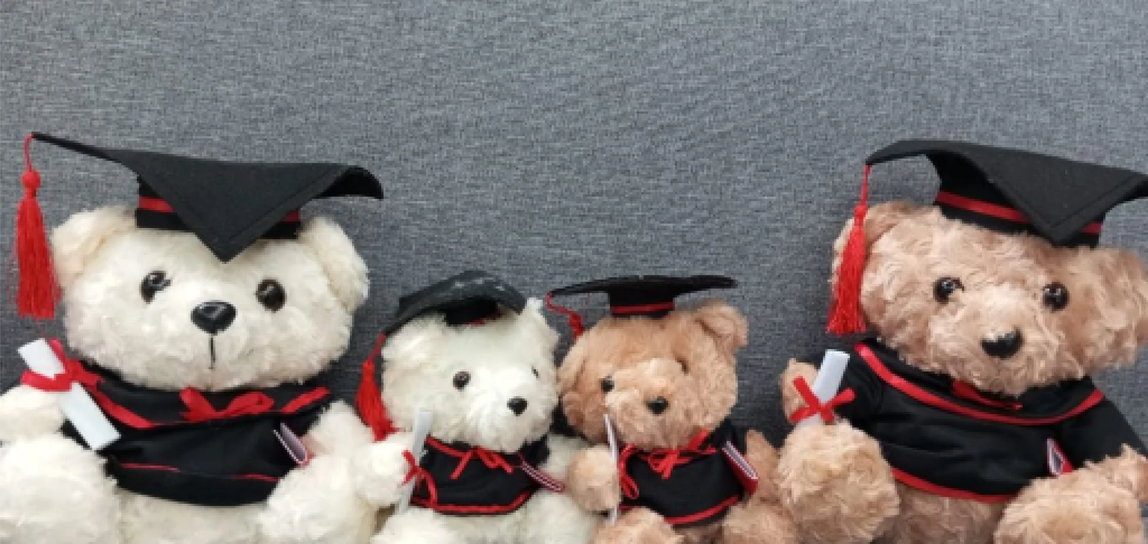 Graduation Plush Toys
