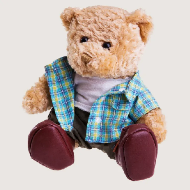 custom teddy bear wearing branded t-shirt and scarf